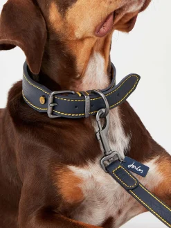 Blue Adjustable Leather Dog Collar