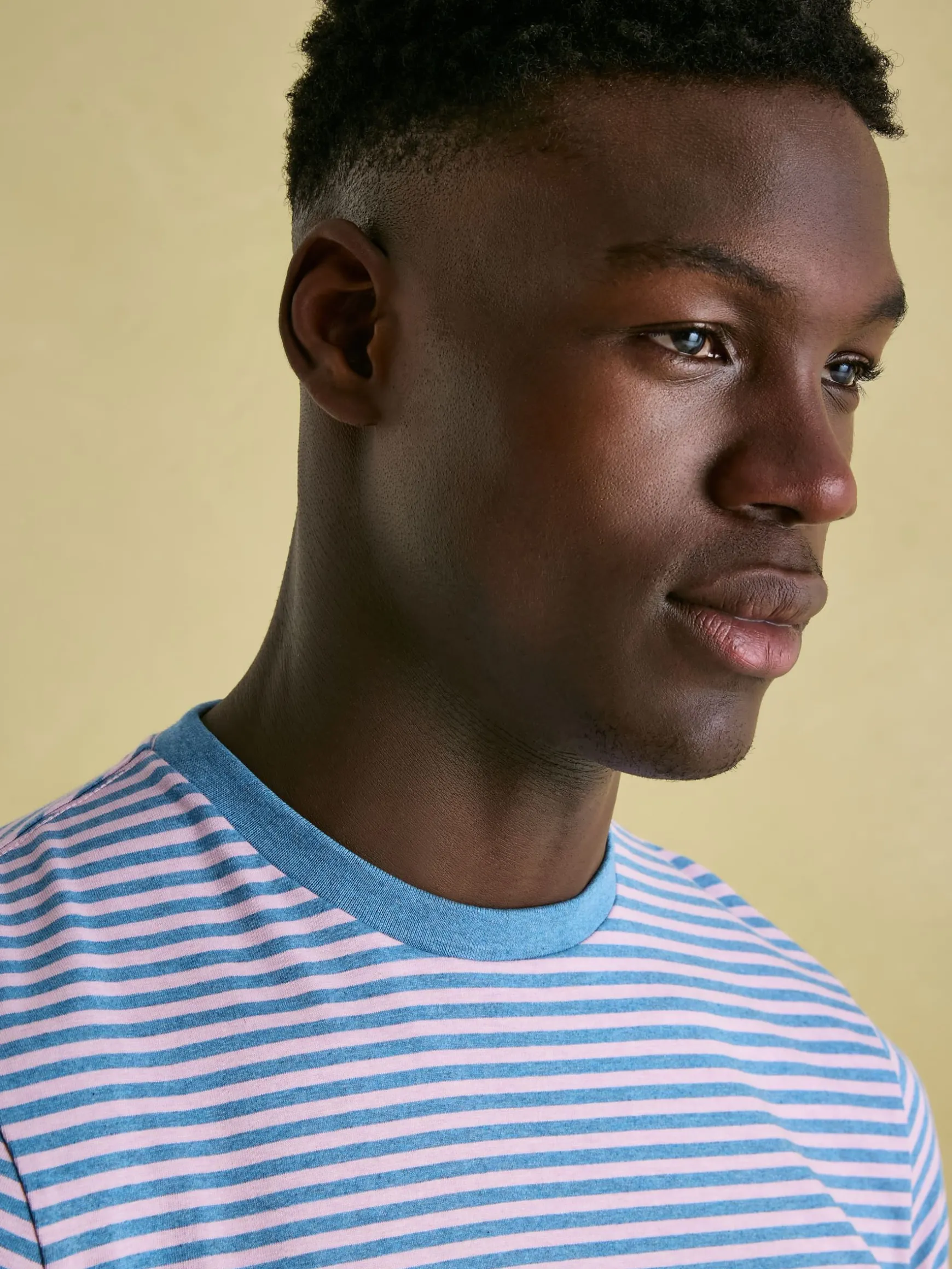 Boathouse Pink Stripe Jersey Crew Neck T-Shirt