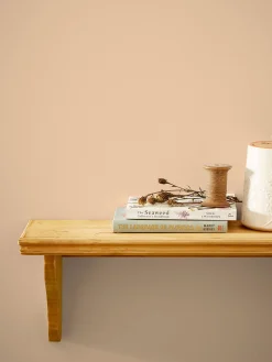 Bushell Pink Multi Surface Matt Emulsion