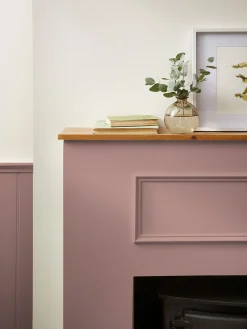 Life is Sweet Purple Multi Surface Matt Emulsion