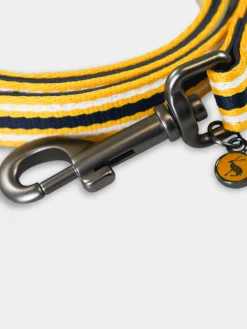 Multi Coastal Stripe Dog Lead