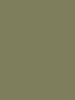 Picnic Blanket Green Multi Surface Matt Emulsion