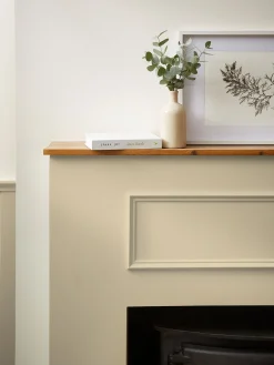 Reed White Natural Multi Surface Matt Emulsion