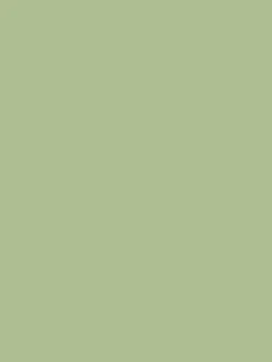 Swanton Novas Green Multi Surface Matt Emulsion
